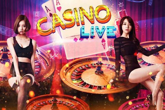 pk365 Live Betting